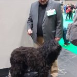 Paul and Alfie